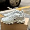 Nike Air Max Plus Light Silver/Chrome/Light Bone/Black
