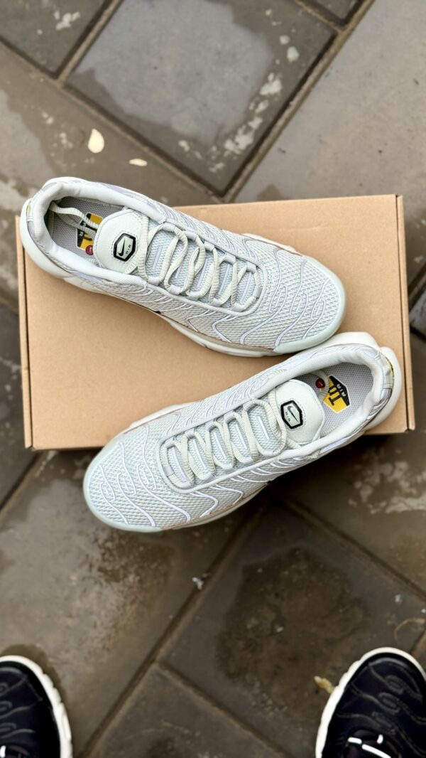 Nike Air Max Plus Light Silver/Chrome/Light Bone/Black