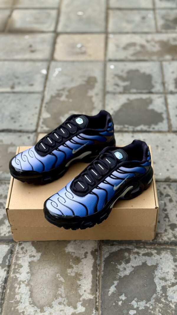 Nike Air Max Plus 'Black Blue'