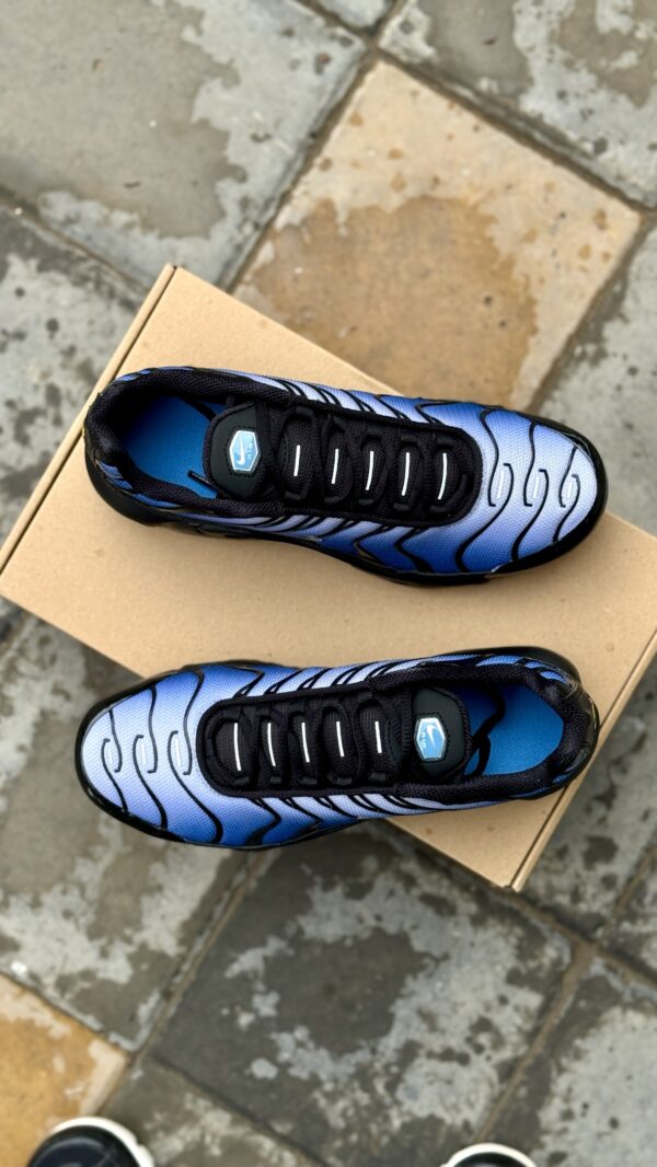 Nike Air Max Plus 'Black Blue'