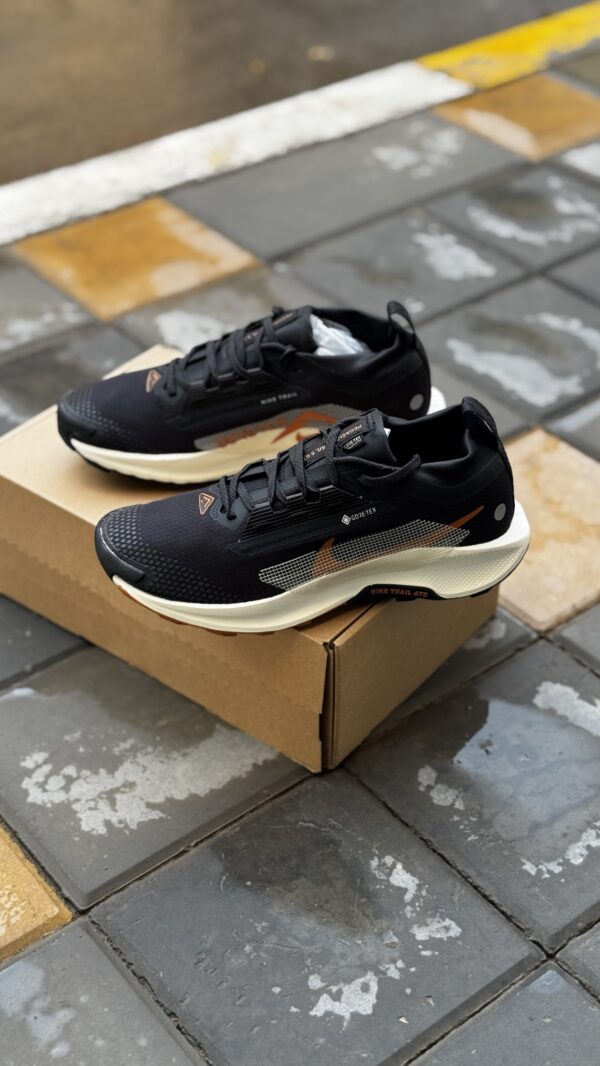 Nike Pegasus Trail 5 GORE-TEX 'Black Monarch'
