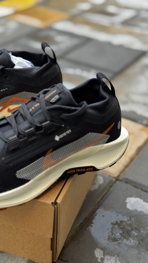 Nike Pegasus Trail 5 GORE-TEX 'Black Monarch'