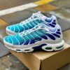 Nike Air Max Plus Aqua