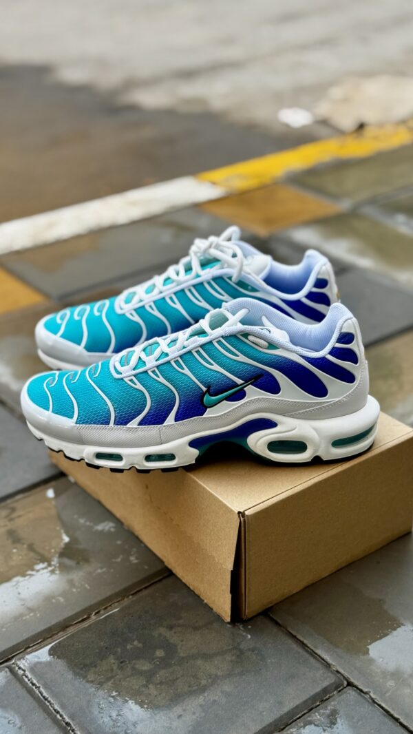 Nike Air Max Plus Aqua