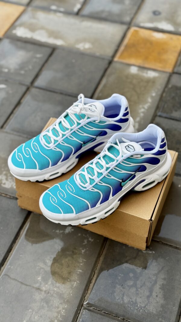 Nike Air Max Plus Aqua