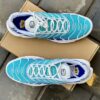Nike Air Max Plus Aqua