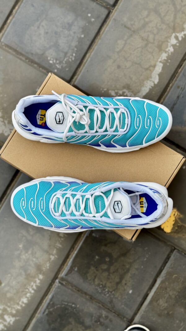 Nike Air Max Plus Aqua