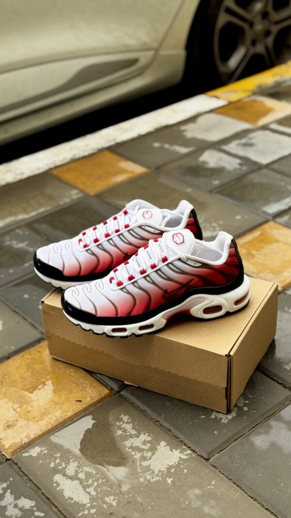 Nike Air Max Plus Gym Red