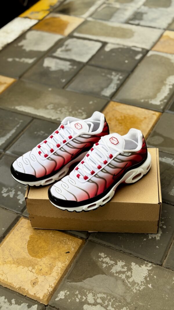 Nike Air Max Plus Gym Red