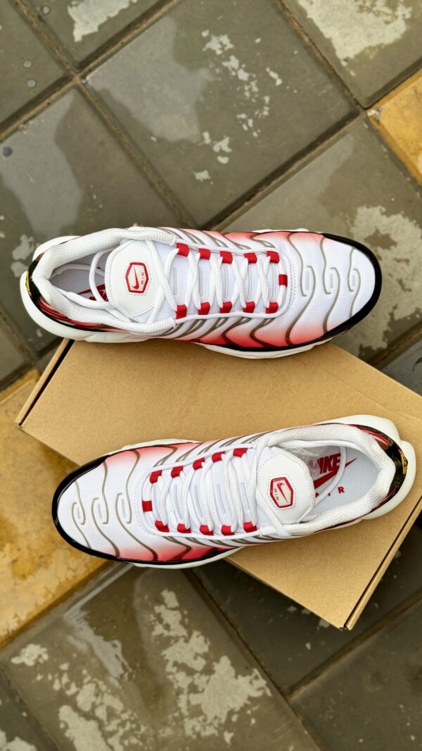 Nike Air Max Plus Gym Red
