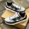 Nike Air Max 90 Wolf Grey Cool Grey Anthracite Blanc